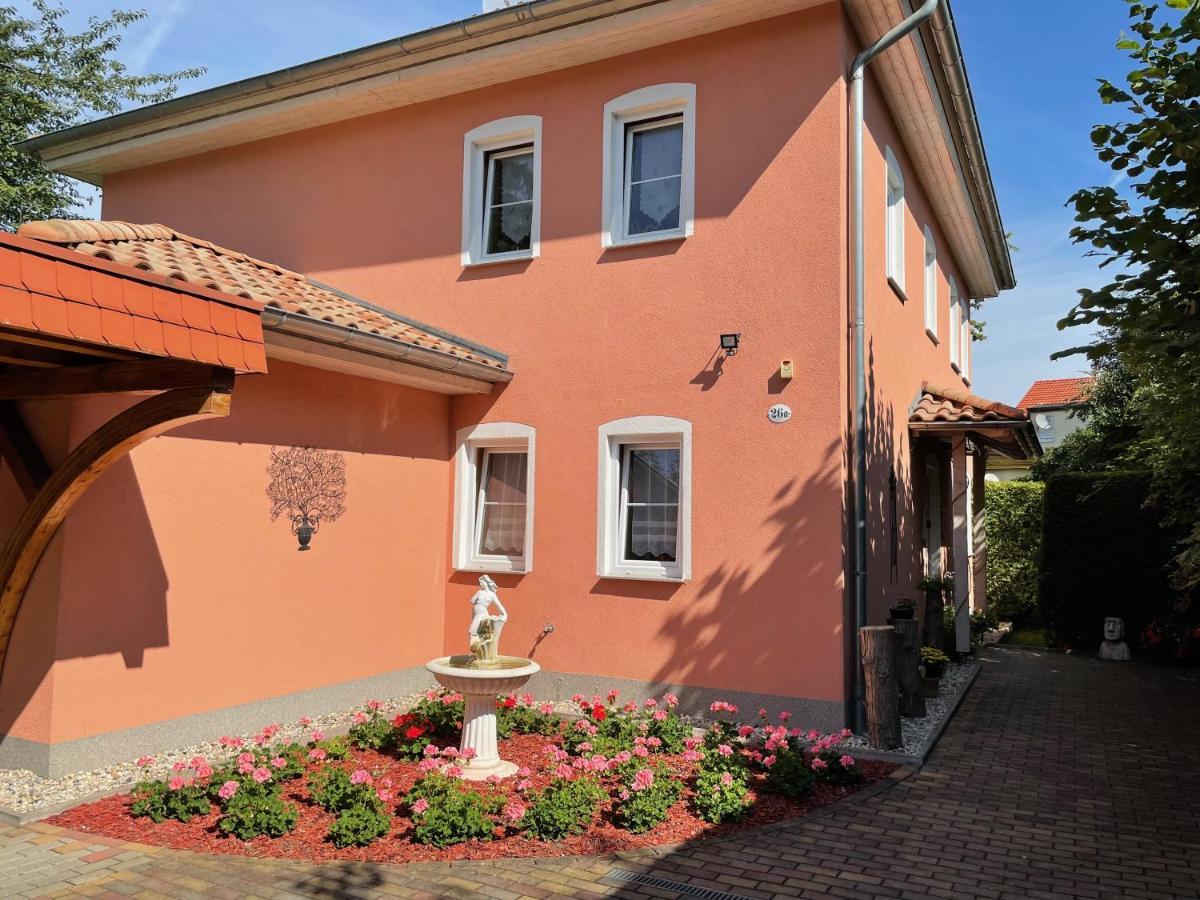 Zentrumsnahe Ferienwohnung Drezno Zewnętrze zdjęcie